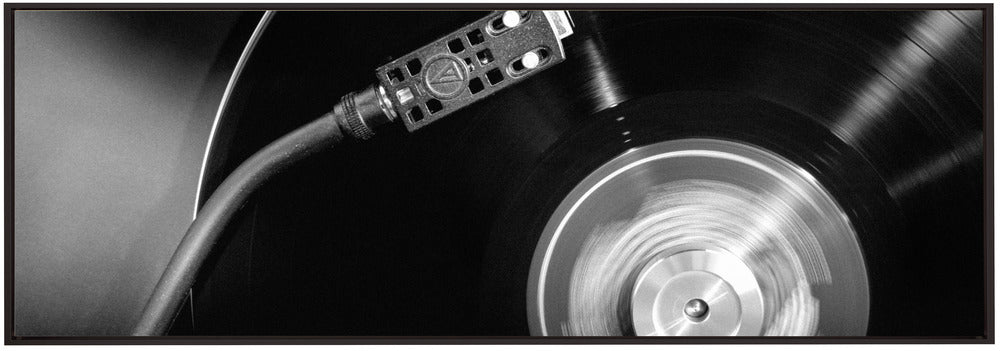 Artwork- Vinyl_006-36X24inches-In Black Floating Frame