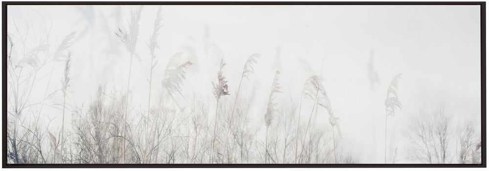 Artwork- Landscape of reeds and grass-36X24inches-In Black Floating Frame