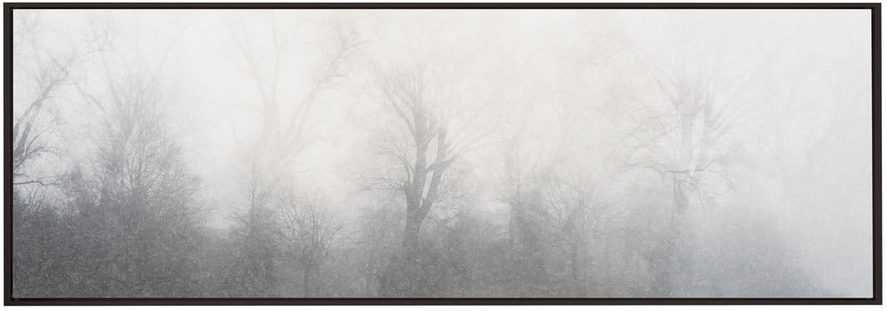 Artwork- Misty landscape-36X24inches-In Black Floating Frame