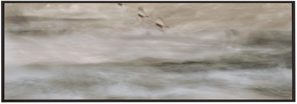 Artwork- Swans over sea-36X24inches-In Black Floating Frame