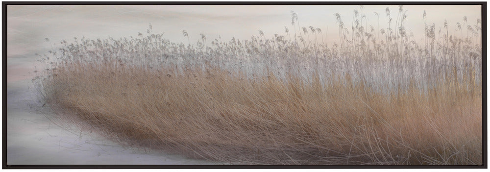 Artwork- Winter Reed-36X24inches-In Black Floating Frame