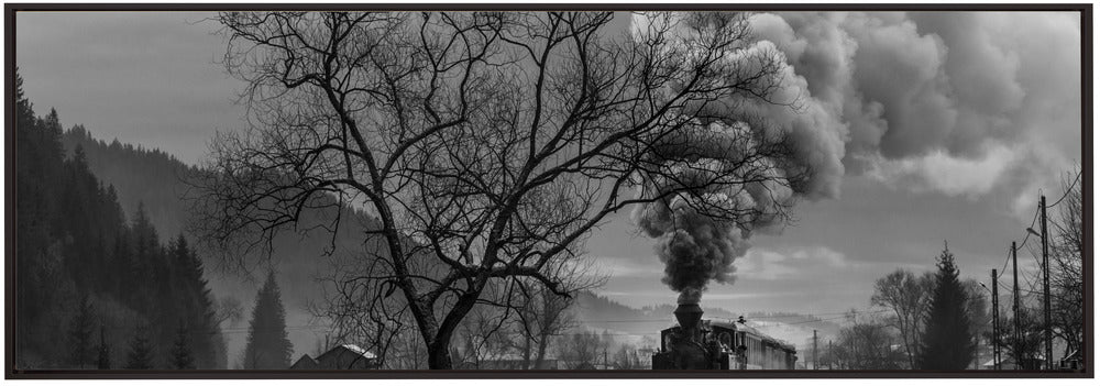 Artwork- Mocanita Hutulca-36X24inches-In Black Floating Frame