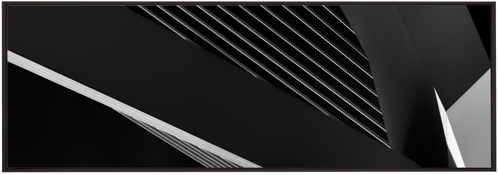 Artwork- Abstraction of a swan-36X24inches-In Black Floating Frame