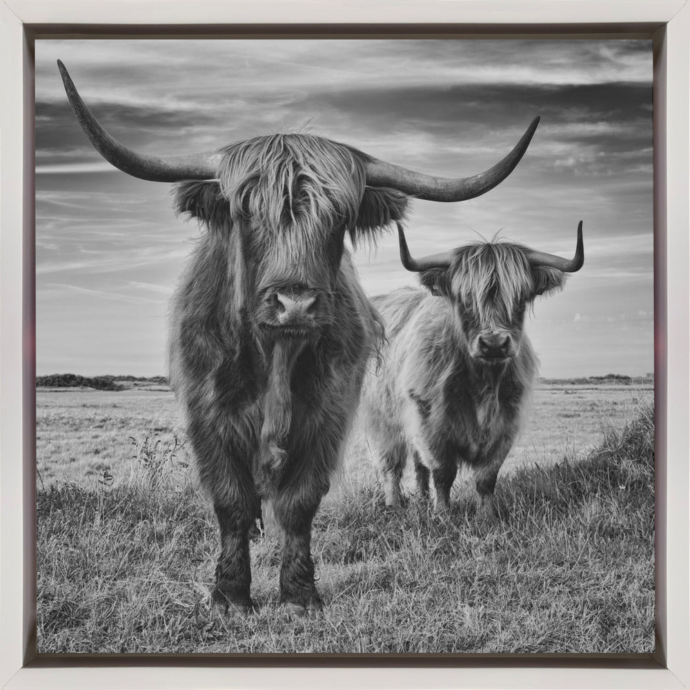Highlands Wall Artwork In Black Floating Frame