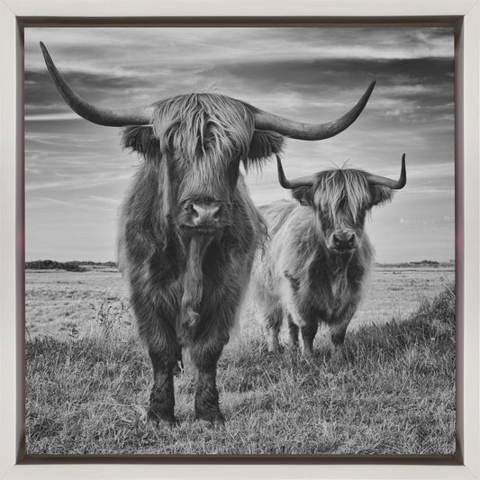Highlands Wall Artwork In Black Floating Frame