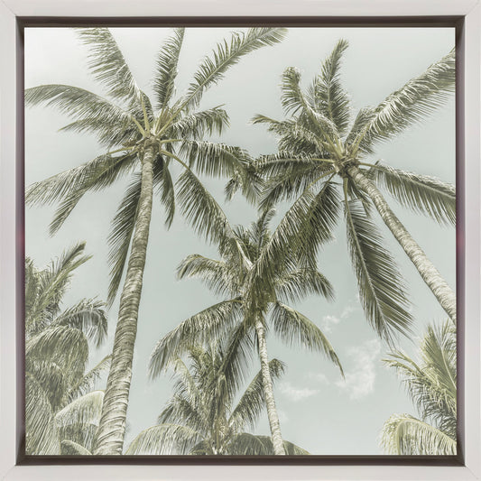 Lovely Vintage Palm Trees Wall Artwork In Black Floating Frame