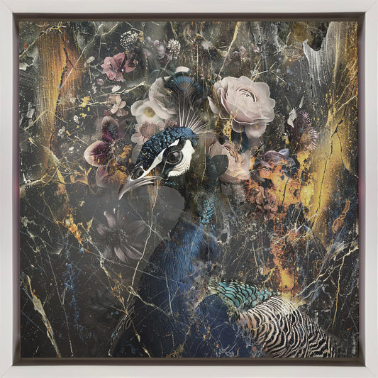 Peacock Animal Vintage Art Illustration Wallart 1 Wall Artwork In Black Floating Frame