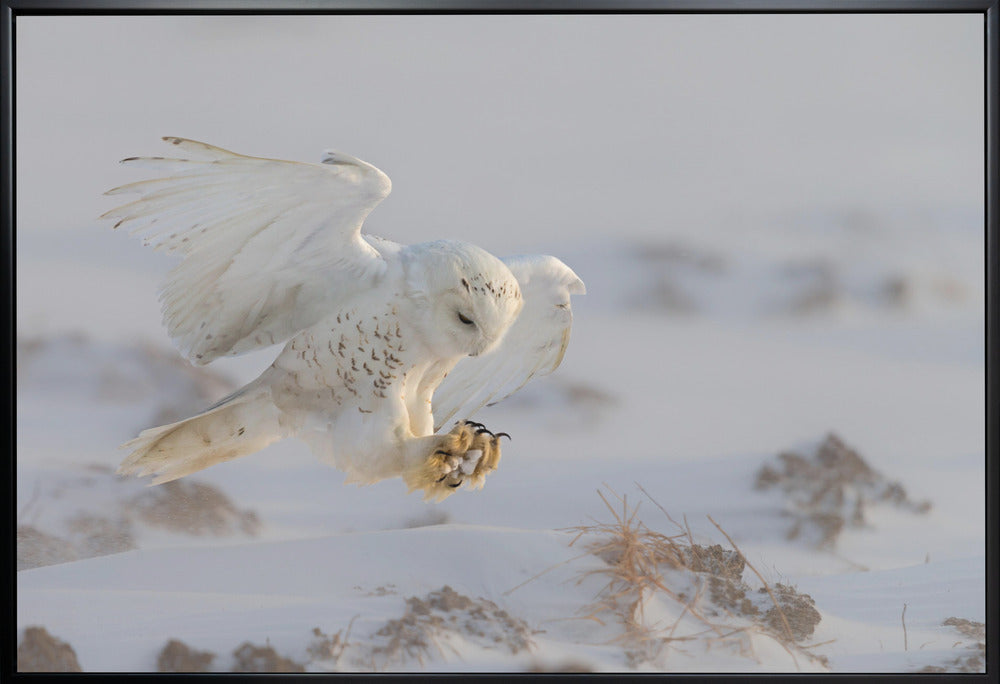 Wall art Landing-36X24inches-In White Floating Frame