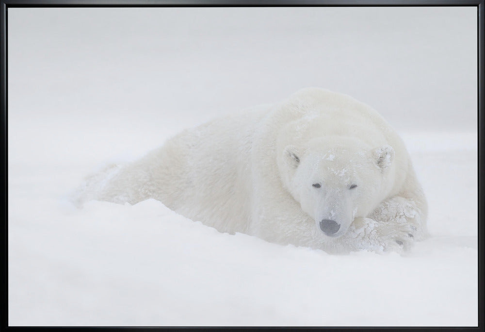 Wall art White-36X24inches-In White Floating Frame