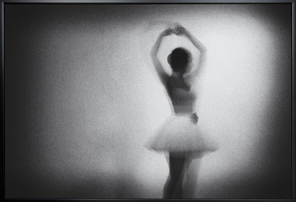 Artwork- n/t-20X16inches-In White Floating Frame