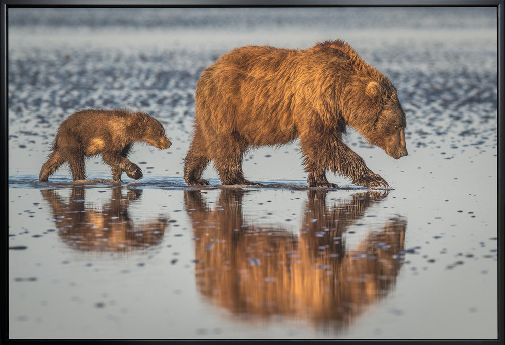 Artwork Beauty and the beast36X24inches- White Frame