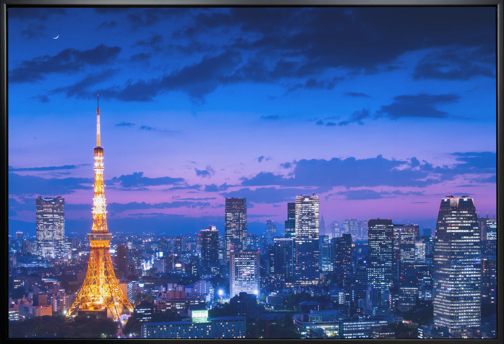 Tokyo night view