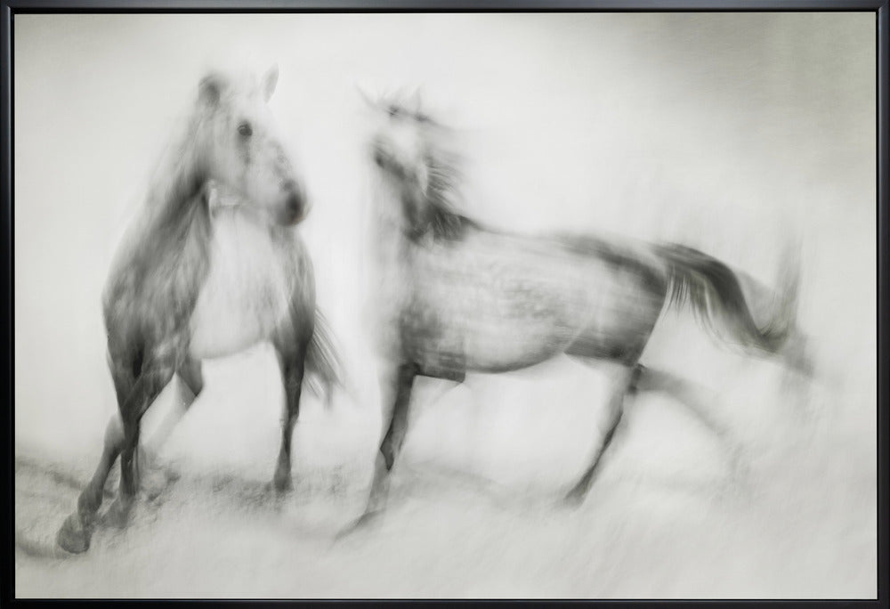 Artwork- Shivers-48X36inches-In Black Floating Frame