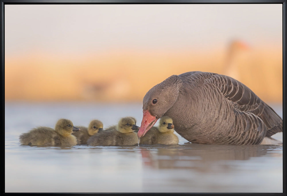 Artwork happy family36X24inches- White Frame