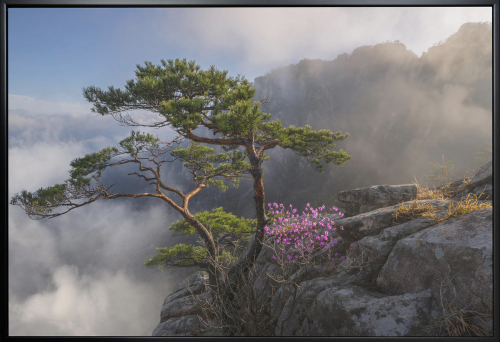 Dream dancer Wall Artwork In White Floating Frame