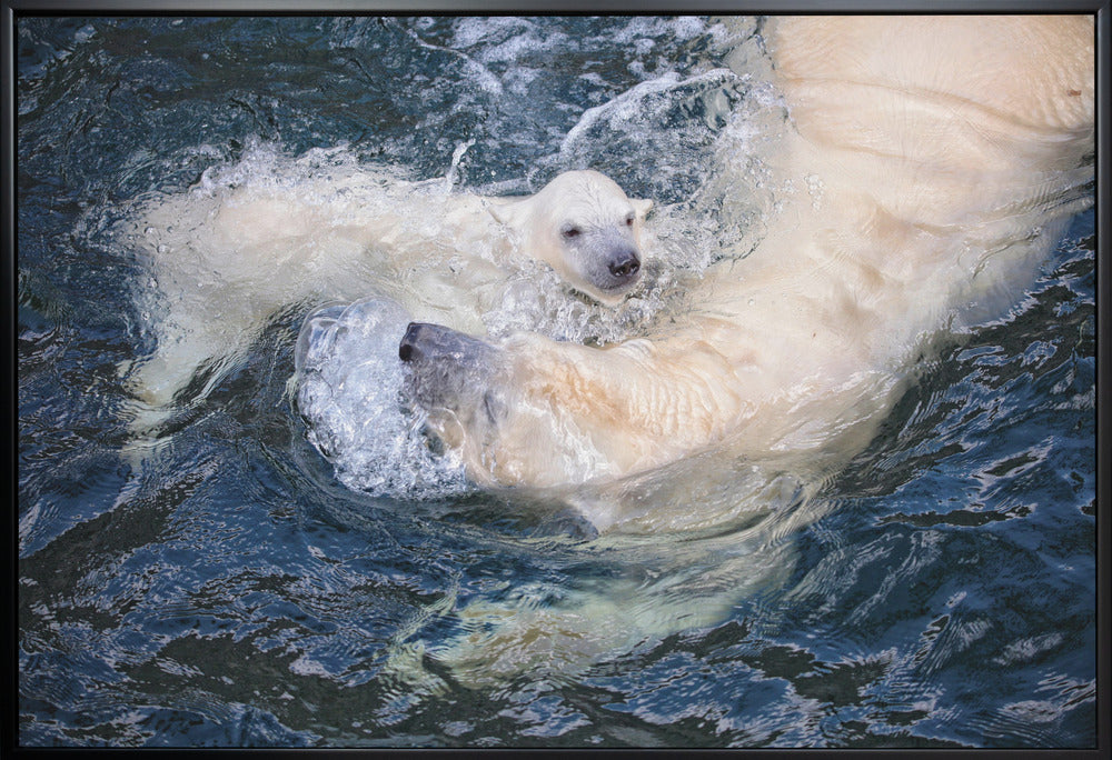 Artwork HER CUTENESS, swimming with mum36X24inches- White Frame