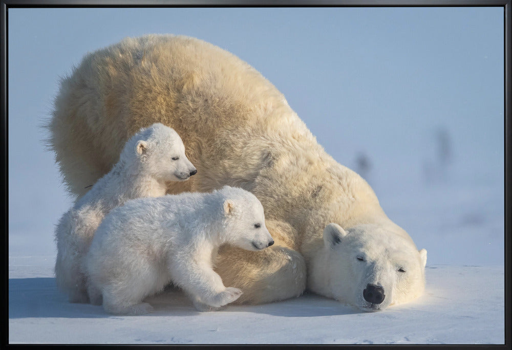 Artwork Mum, Play together36X24inches- White Frame