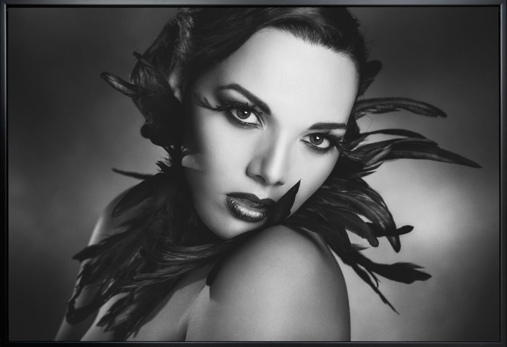 Artwork- The black feathers-20X16inches-In White Floating Frame