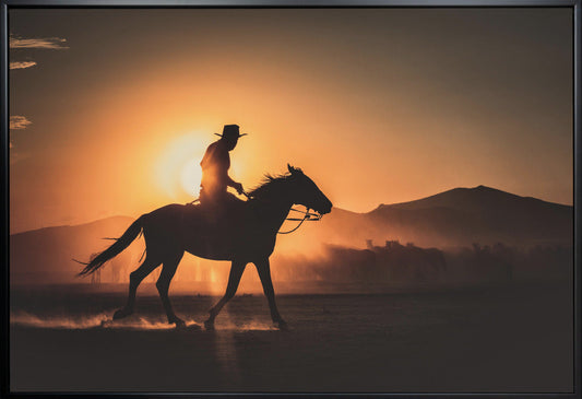 Shadow of rider-Artwork