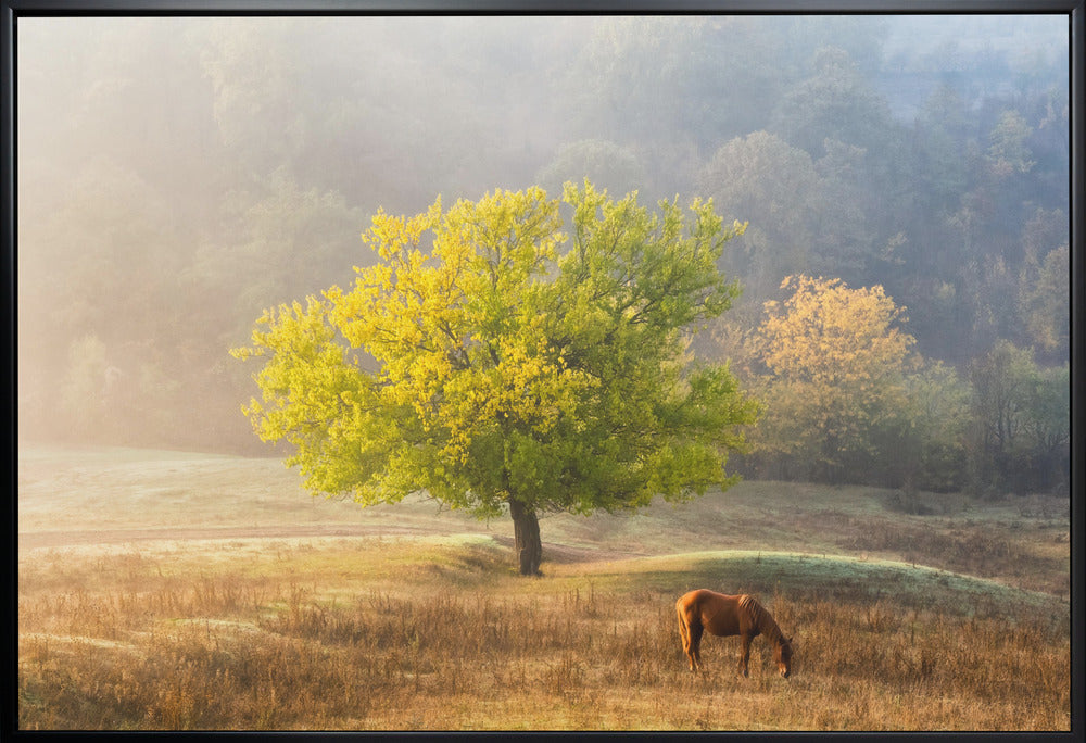 Tree of Life artwok Wall Artwork Gallery Wrapped (Ready to Hang)