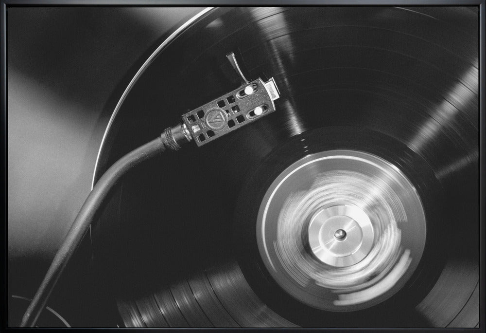 Artwork- Vinyl_004-20X16inches-In White Floating Frame