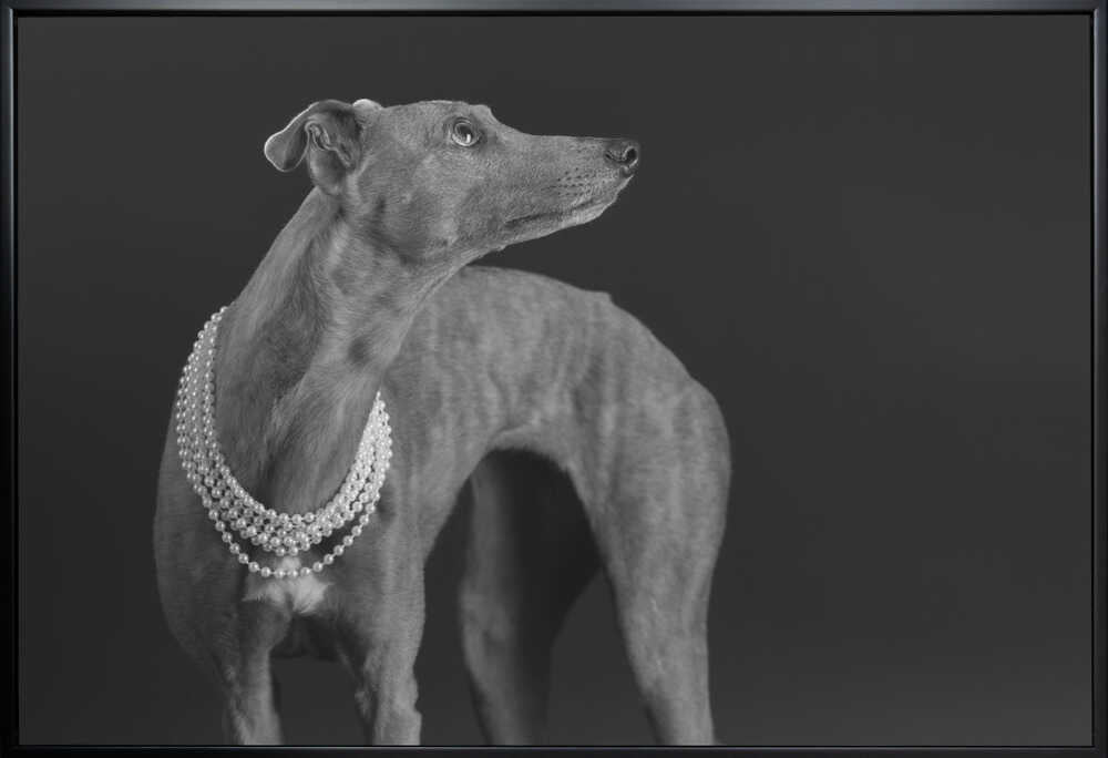 Wall art Whippet girl with the pearl necklace