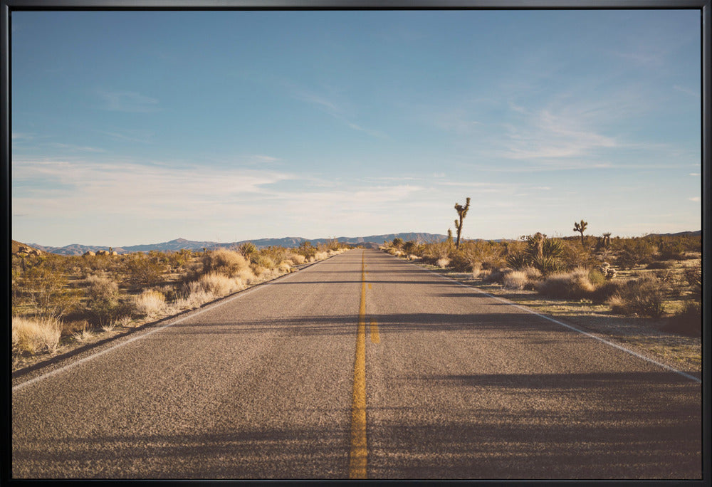 Joshua Tree Road Wall Artwork In Black Floating Frame