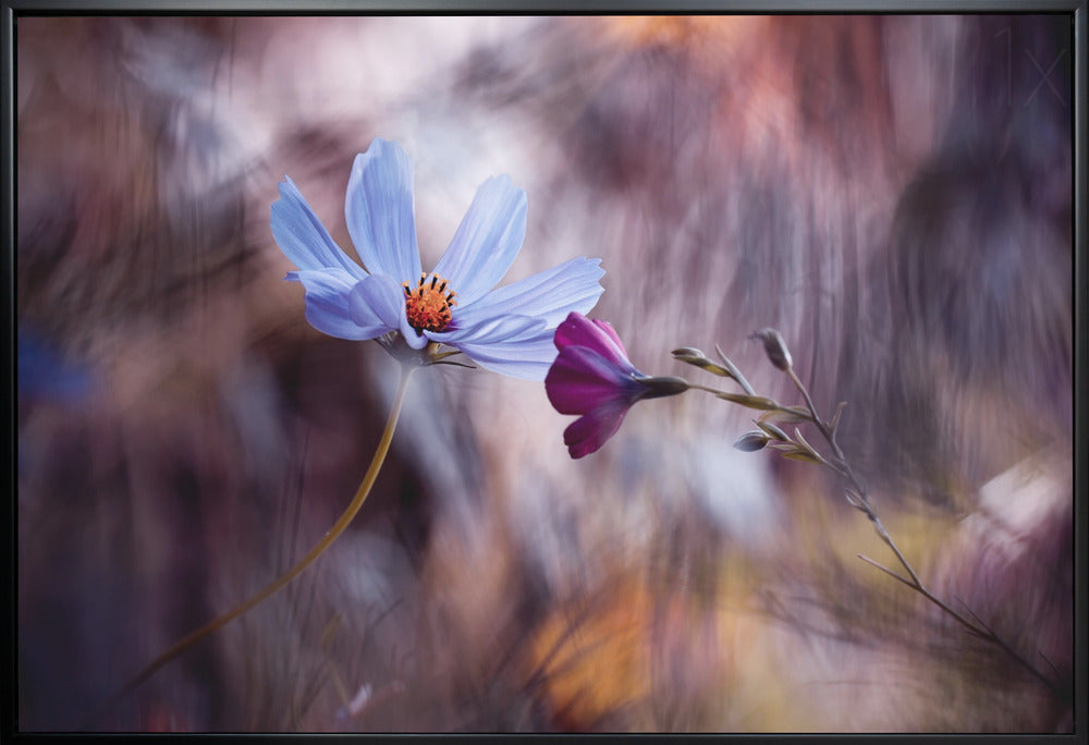 Artwork Le rendez vous36X24inches- White Frame