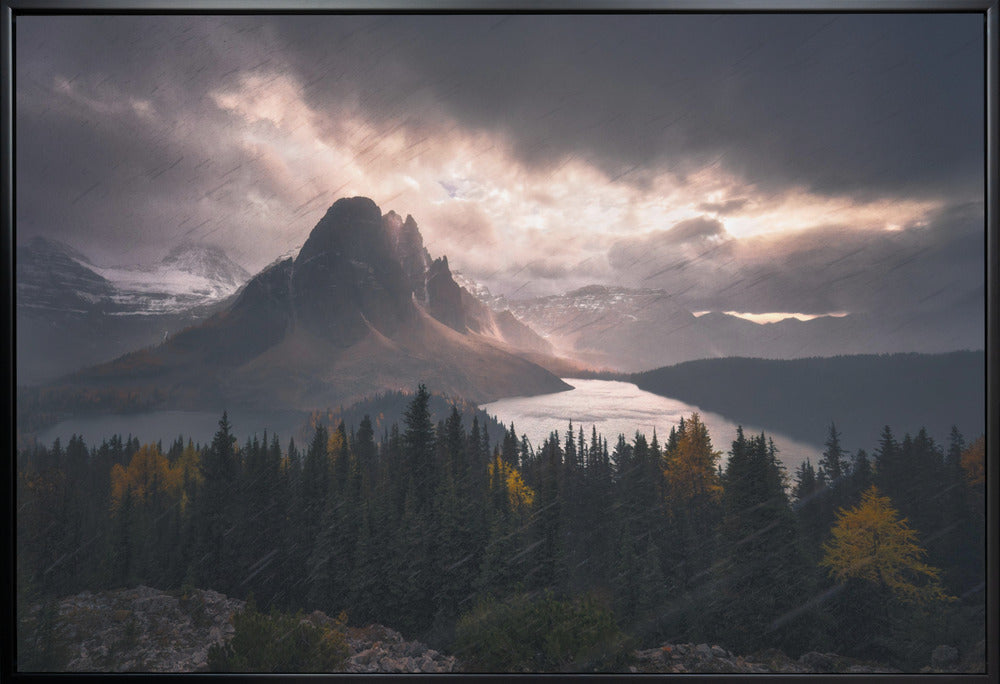 Wall art Assiniboine in Snow-36X24inches-In White Floating Frame