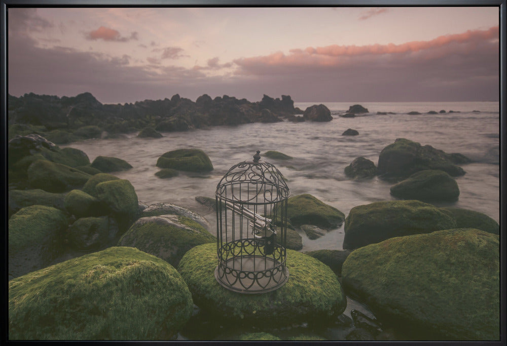 Wall art Free yourself!-36X24inches-In White Floating Frame