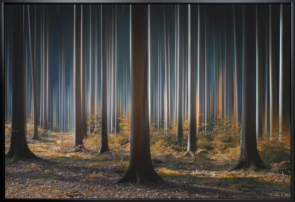 Artwork Mystic Wood36X24inches- White Frame