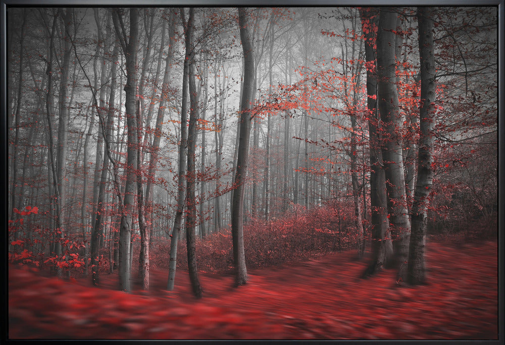 Artwork Bloody River36X24inches- White Frame