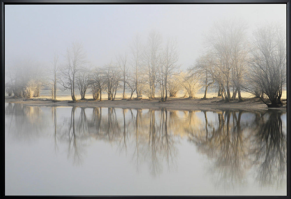 Artwork january morning36X24inches- White Frame
