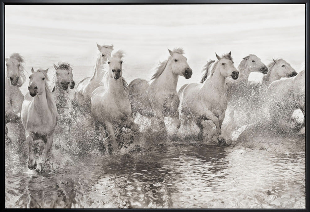 Artwork Illusion of power (13 horse power though)36X24inches- White Frame
