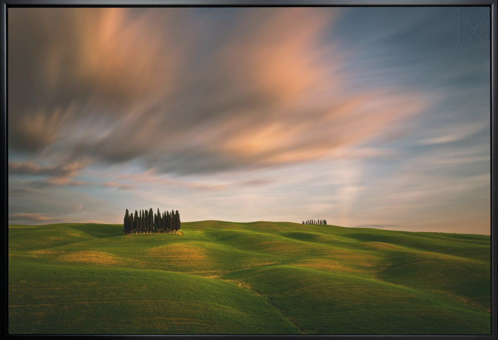 Artwork Fields...36X24inches- White Frame