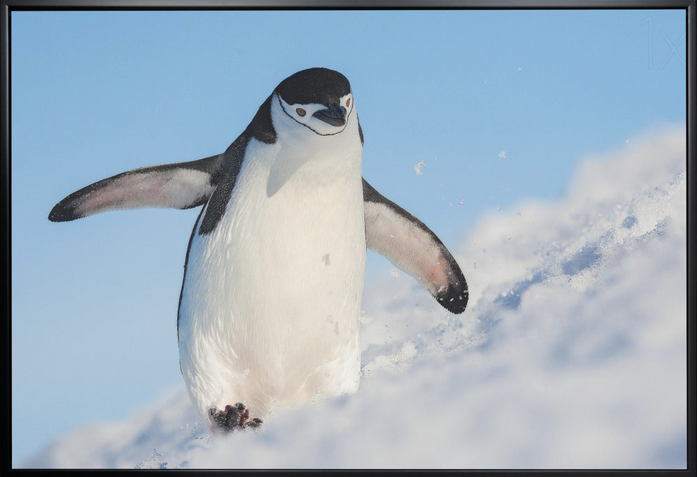 Wall art Running up that hill-36X24inches-In White Floating Frame