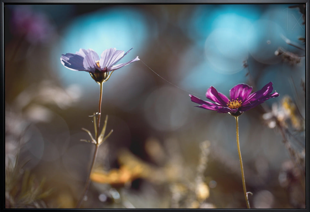 Artwork Le lien36X24inches- White Frame