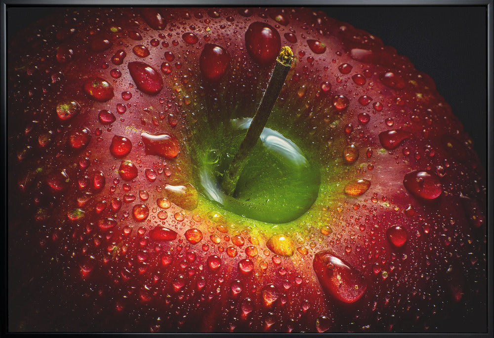 Artwork Red Apple. Food36X24inches- White Frame