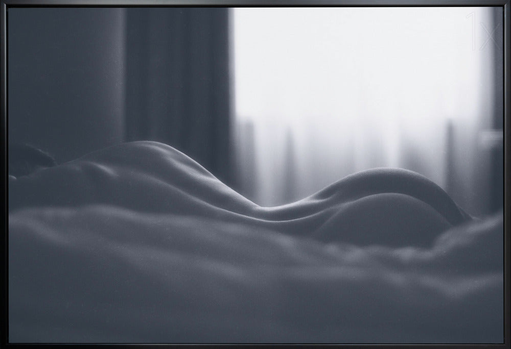 Artwork ...36X24inches- White Frame