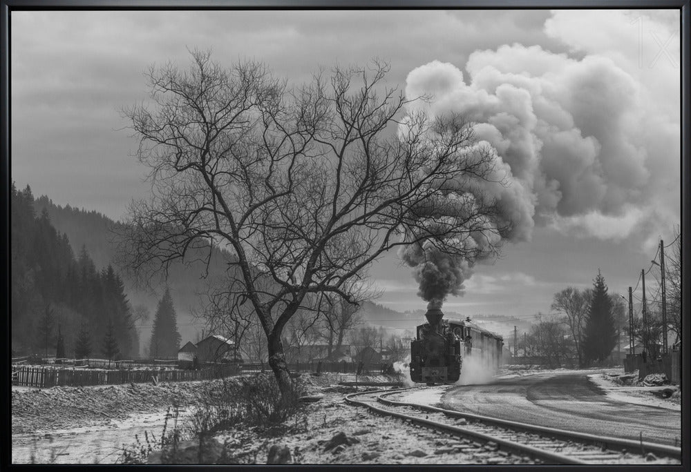 Artwork- Mocanita Hutulca-20X16inches-In White Floating Frame