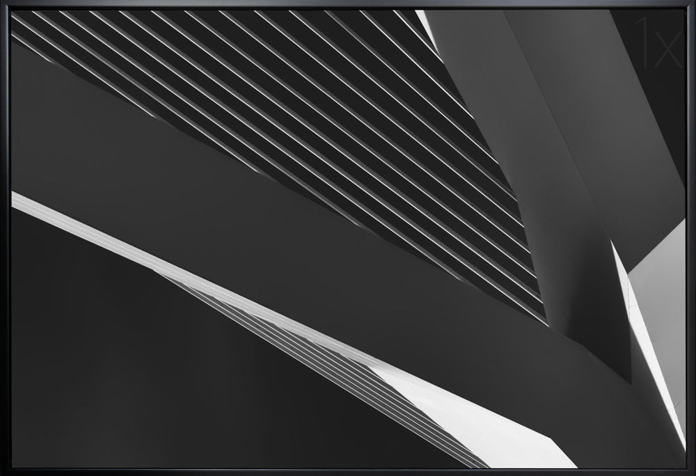 Artwork- Abstraction of a swan-20X16inches-In White Floating Frame