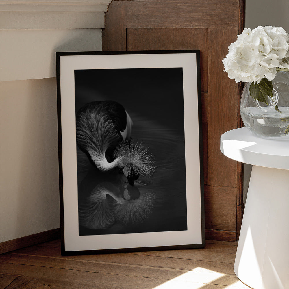 Artwork- The reflection-24X36inches-In Black Floating Frame