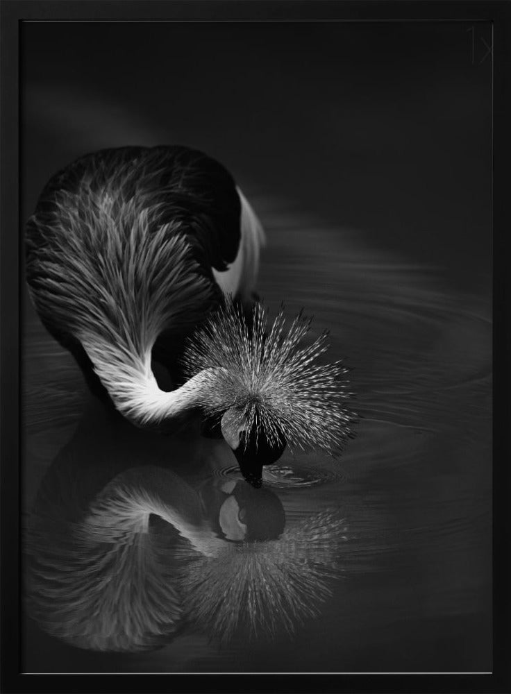 Artwork- The reflection-36X48inches-In White Floating Frame