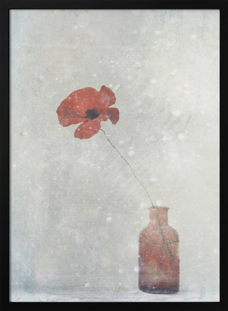 Winter Poppy Wall Artwork Gallery Wrapped (Ready to Hang)