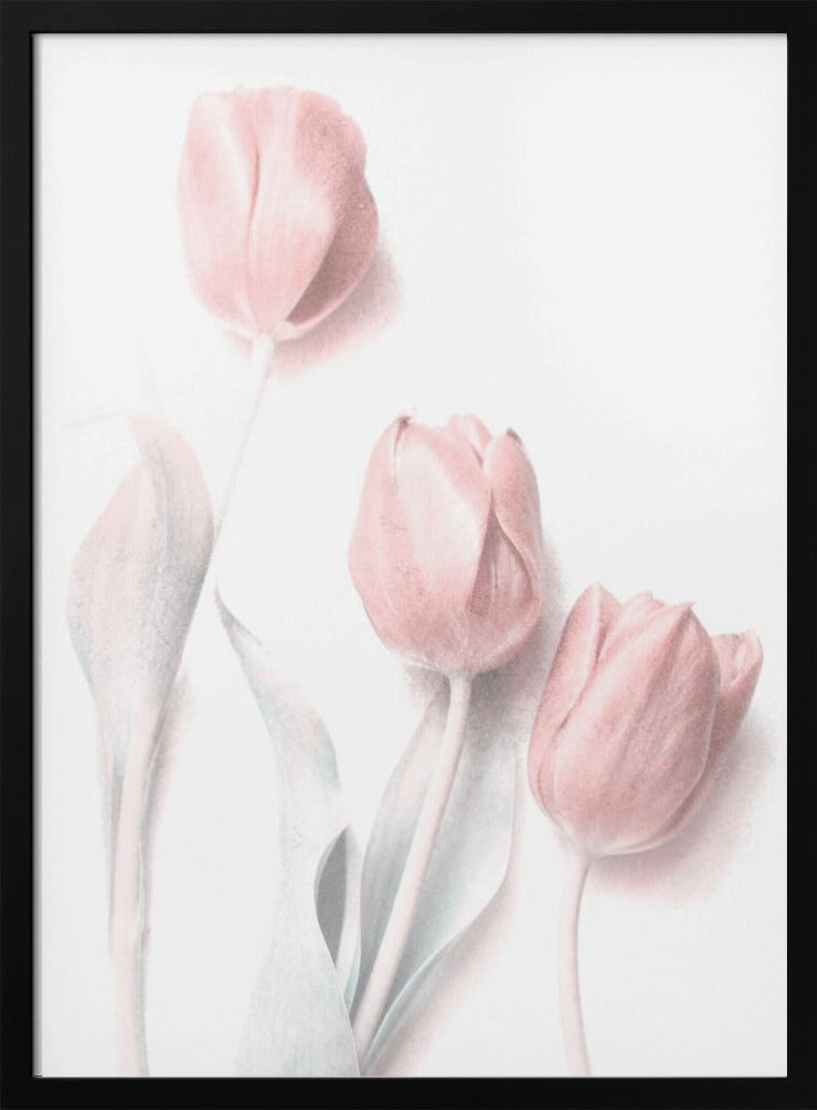 Sweet Pink Flower Wall Artwork In Black Floating Frame