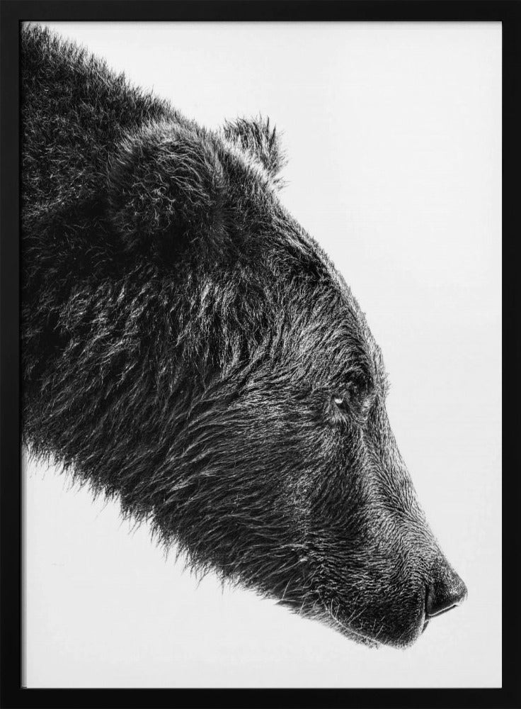 Artwork- The Salmon Catcher-36X48inches-In White Floating Frame