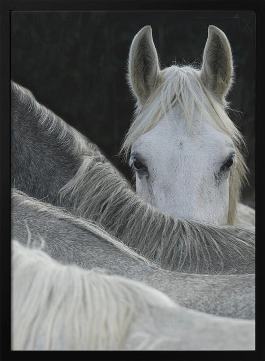 Look Wall Artwork In Black Floating Frame