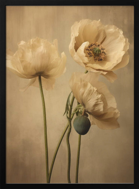 Poppies 24 Wall Artwork In Black Floating Frame