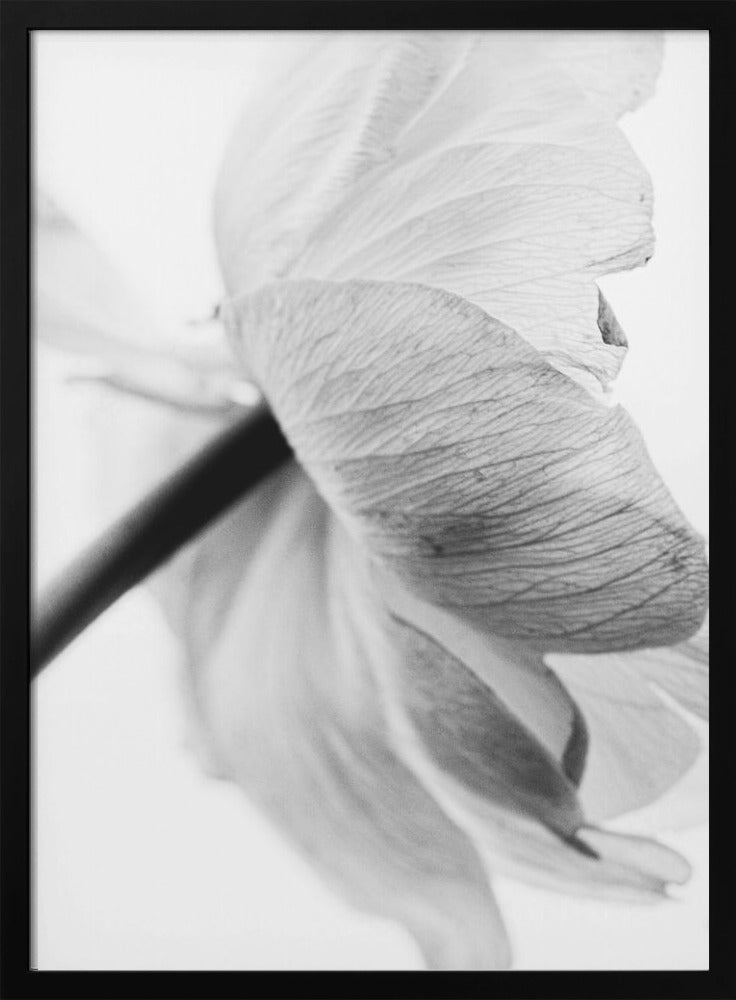 Blooming Flower Wall Artwork Gallery Wrapped (Ready to Hang)