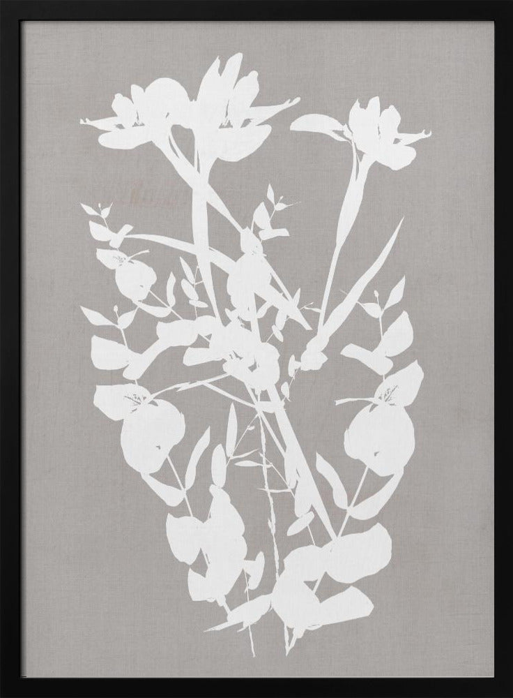 Artwork- Botanical Illustration 3-16X20inches-In White Floating Frame